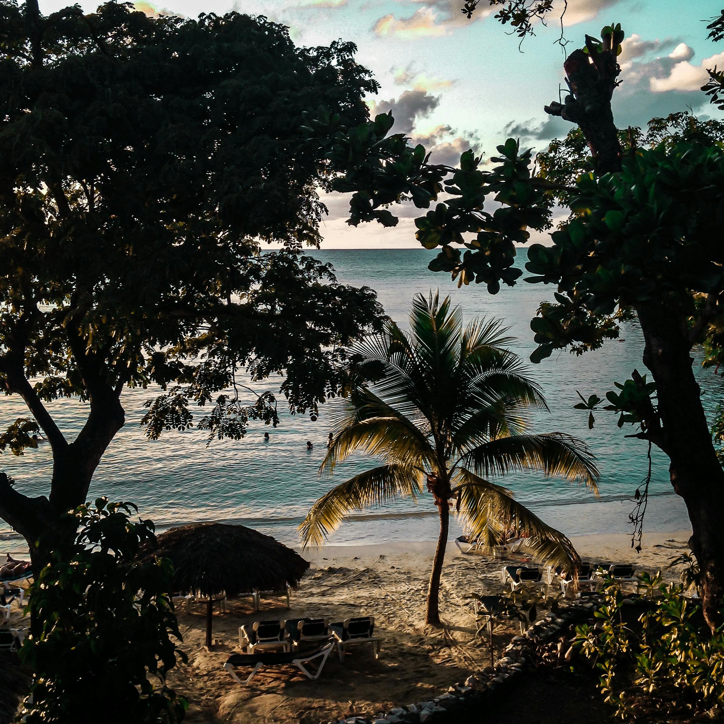Tropical beach with palm trees at sunset